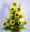 DISEO DE GIRASOLES